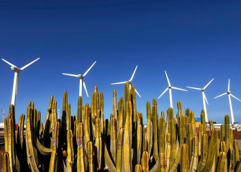 La Diputación de Badajoz asiste en Canarias al Encuentro Nacional del Pacto de las Alcaldías por el clima y la energía 2024.jpg