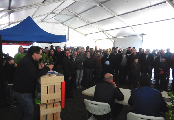 Imagen: Éxito rotundo de Diputación de Badajoz en la subasta de ganado en la 65 Edición de la Feria del Gana...