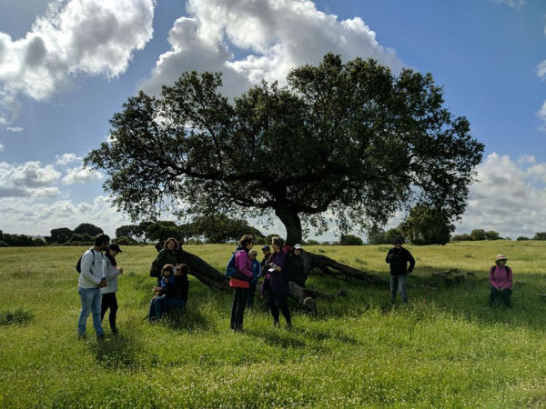 Imagen: Actividades de los Programas de Educación Ambiental para familias y seniors