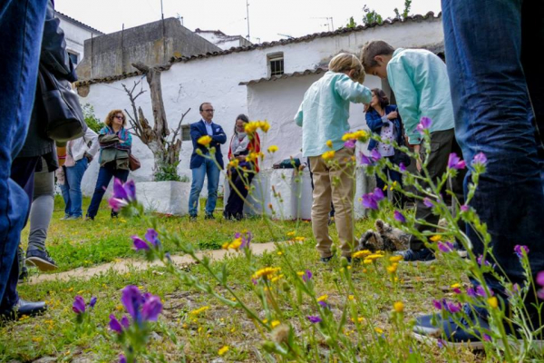 Imagen: Se presenta la Guía de Plantas de Parque y Jardines.