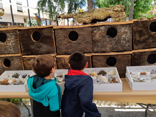 Imagen: Precioso día en La Zarza celebrando el Día Mundial del Medioambiente con nuestro Museo Itinerante de...
