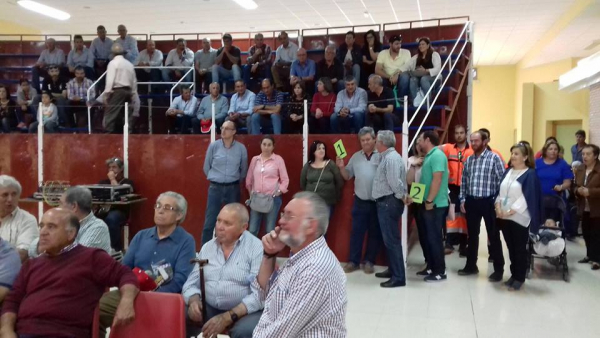 Imagen: Diputación de Badajoz ha participado en la subasta de ganado de la IX Feria Agroganadera y Multisect...