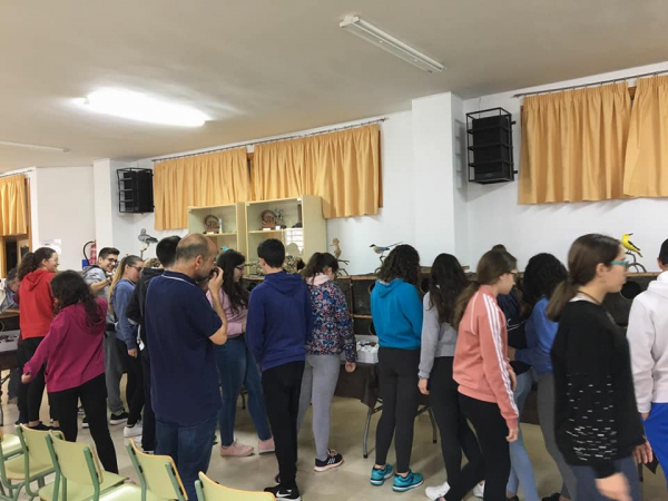 Imagen: Celebrando el Día Mundial del Medioambiente en Monesterio con el Museo Itinerante de Medio Ambiente...