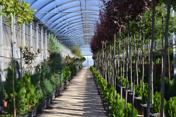 Imagen: ADAPTA-BIOFILIA, el nuevo proyecto promovido por la Diputación de Badajoz con el apoyo del Ministeri...