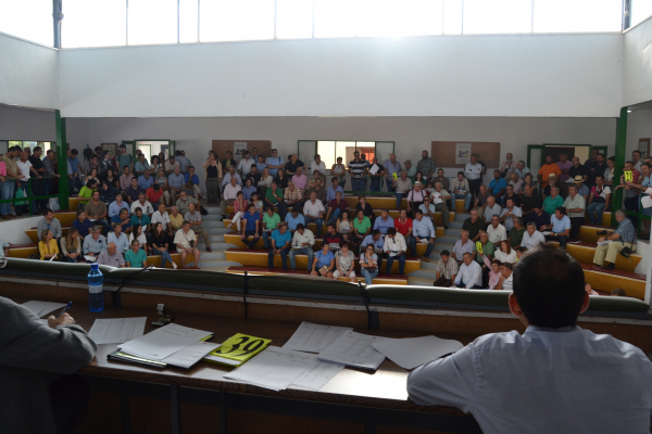 Imagen: La Diputación de Badajoz cosecha un gran éxito en la subasta de ganado de la Feria Internacional Gan...