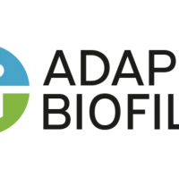 Imagen: Adapta Biofilia