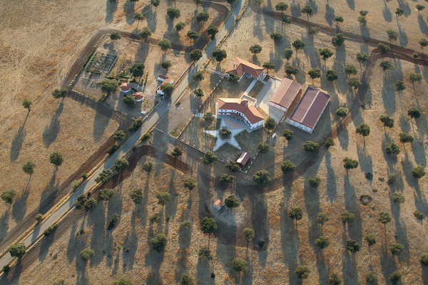 Imagen: La Diputación de Badajoz pondrá en marcha la obtención de tres certificados de profesionalidad de ge...