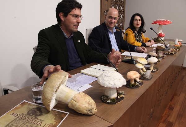 Imagen: La feria medieval que recrea el asedio a la localidad pacense de Villanueva del Fresno, ‘Medievalia’...