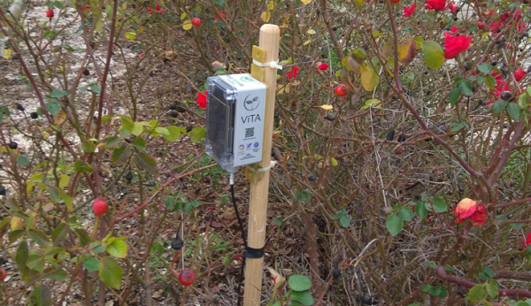 Imagen: La finca La Cocosa moderniza su sistema de riego por goteo a través de la monitorización inteligente