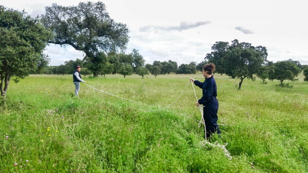 Imagen: La Cocosa monitoriza su estado ecosistémico para evaluar su Índice de Salud de Pastizales (ISP)