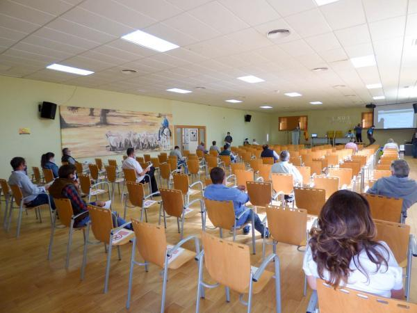 La Diputación de Badajoz ha participado en la subasta nacional de raza merina de la 35 edición del Salón Ovino de Castuera