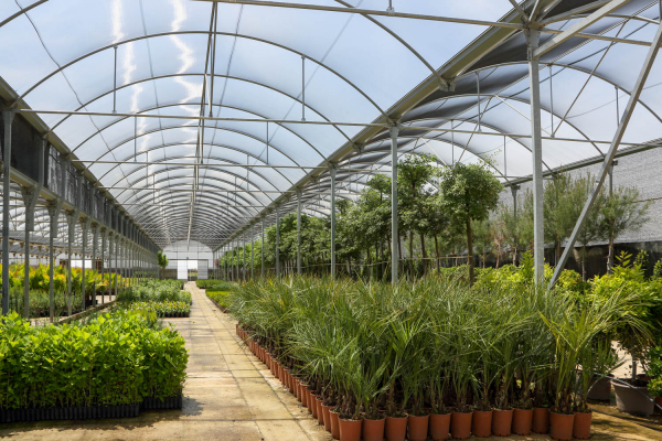 Imagen: Comienza la campaña de suministro de plantas a Ayuntamientos por parte del Vivero Provincial