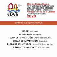 Imagen: La Diputación de Badajoz va a comenzar un curso de Poda e injertos frutales en Guadajira 