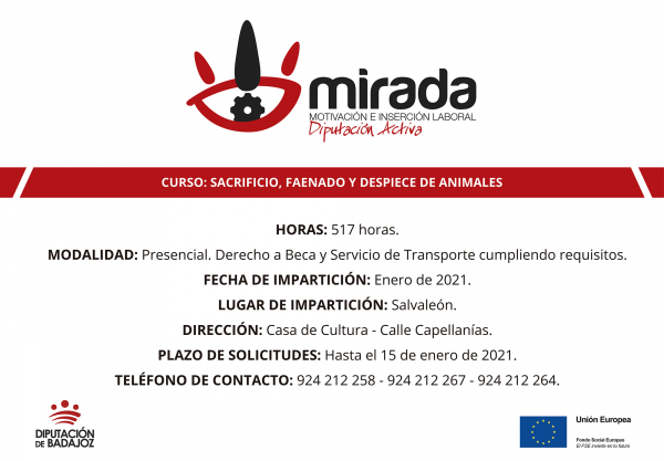 Imagen: Diputación de Badajoz iniciará en Salvaleón un curso de Sacrificio, faenado y despiece de animales