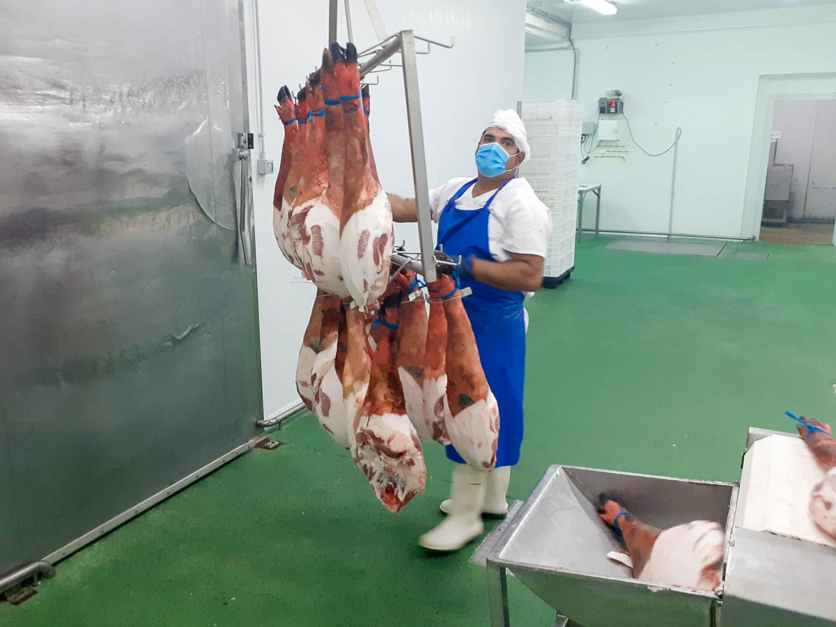 Más de la mitad del alumnado del curso ‘Sacrificio, faenado y despiece de animales’ ha encontrado trabajo de manera inmediata