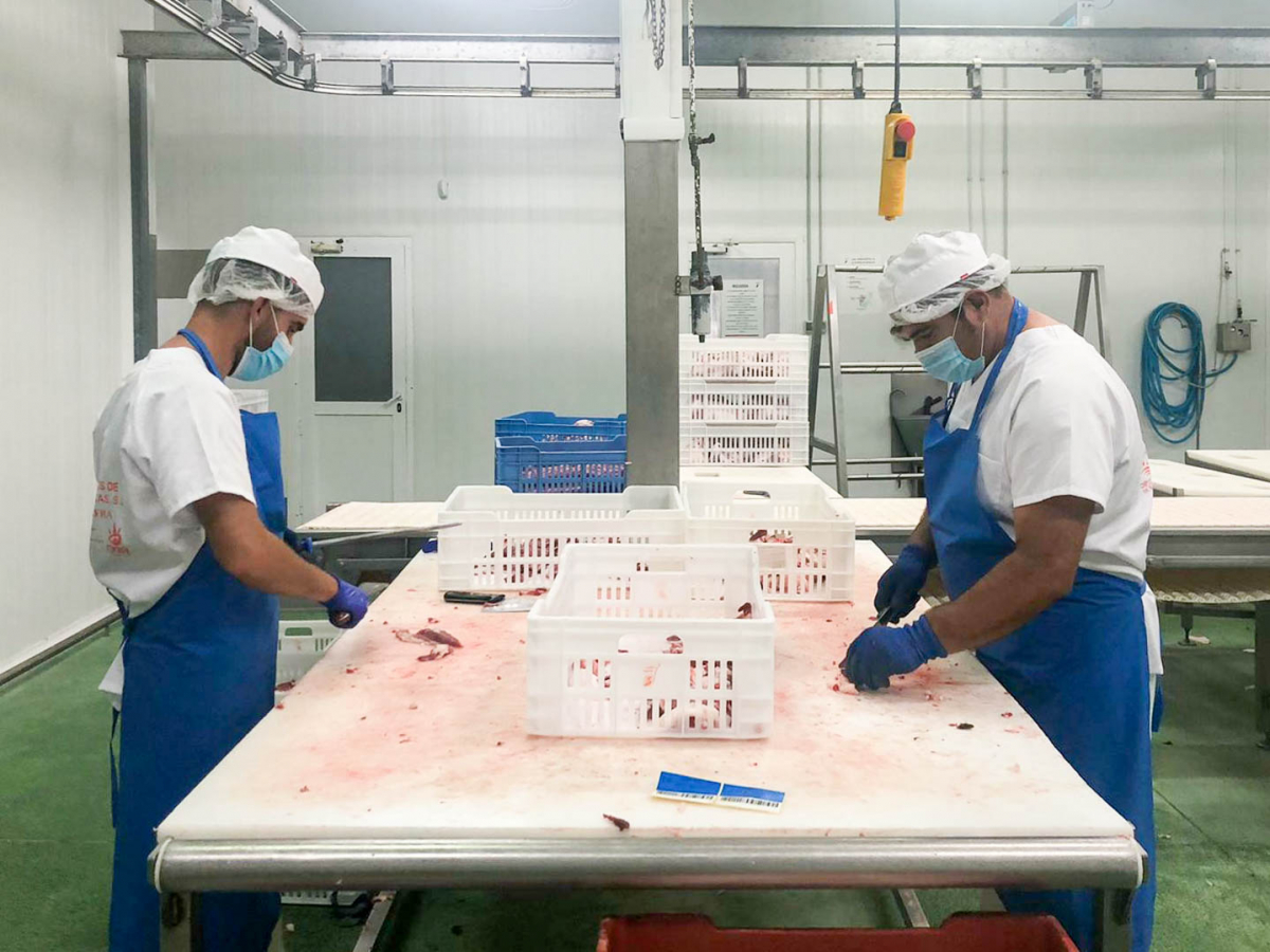 Más de la mitad del alumnado del curso ‘Sacrificio, faenado y despiece de animales’ ha encontrado trabajo de manera inmediata