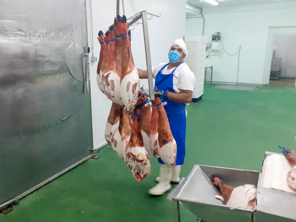 Imagen: Más de la mitad del alumnado del curso ‘Sacrificio, faenado y despiece de animales’ ha encontrado tr...