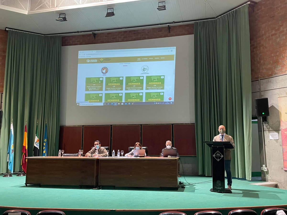La Diputación de Badajoz ha participado en la subasta de Zafra primavera 2021 de la Feria Internacional Ganadera