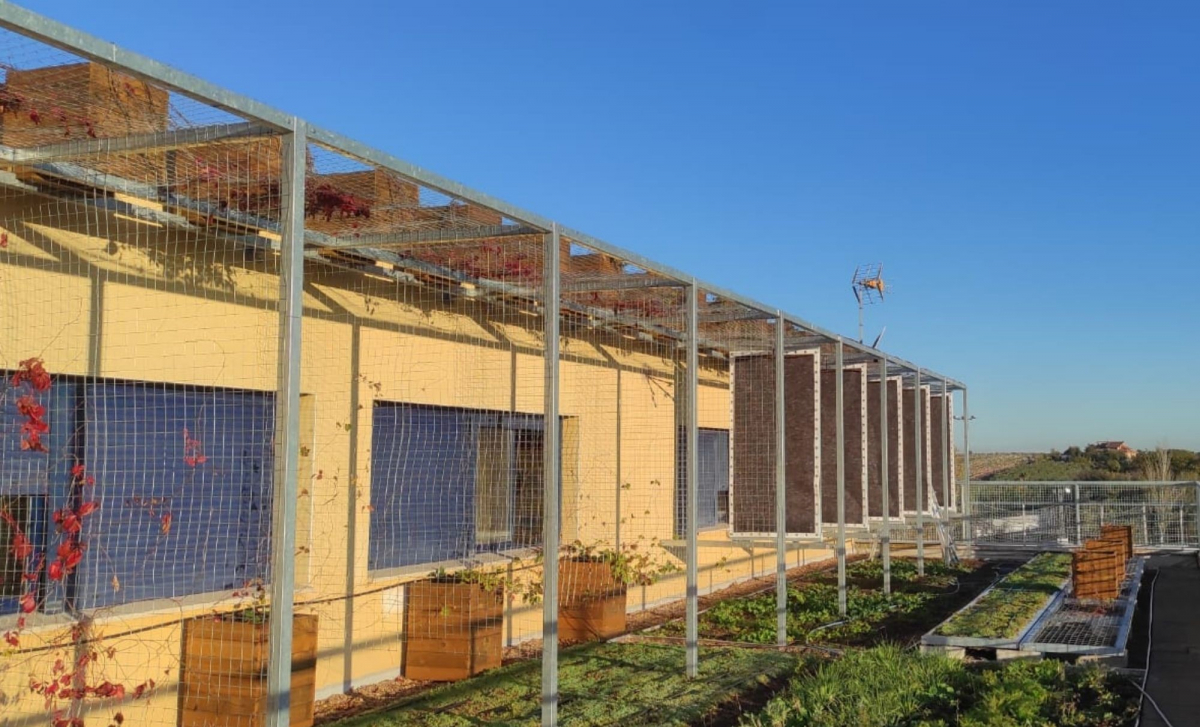 Terminan las obras de implementación de las Soluciones Basadas en la Naturaleza en el Colegio Público Gabriela Mistral de Solana de los Barros