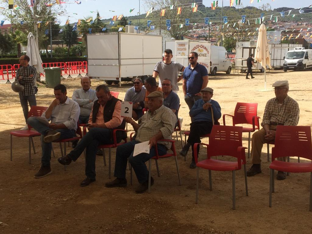 La Diputación de Badajoz adjudica el 100% de sus lotes de ganado merino en las subastas de las ferias ganaderas de La Zarza y Puebla de Alcocer