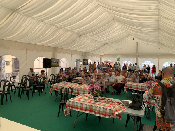 Imagen: La Diputación de Badajoz subasta 28 cabezas de ganado en la  XI edición de ‘’Vive la Trashumancia&ap...