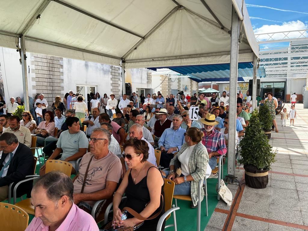 La Diputación de Badajoz recibe el premio al mejor semental de raza merina 2022 en el 37ª Salón Ovino de Castuera