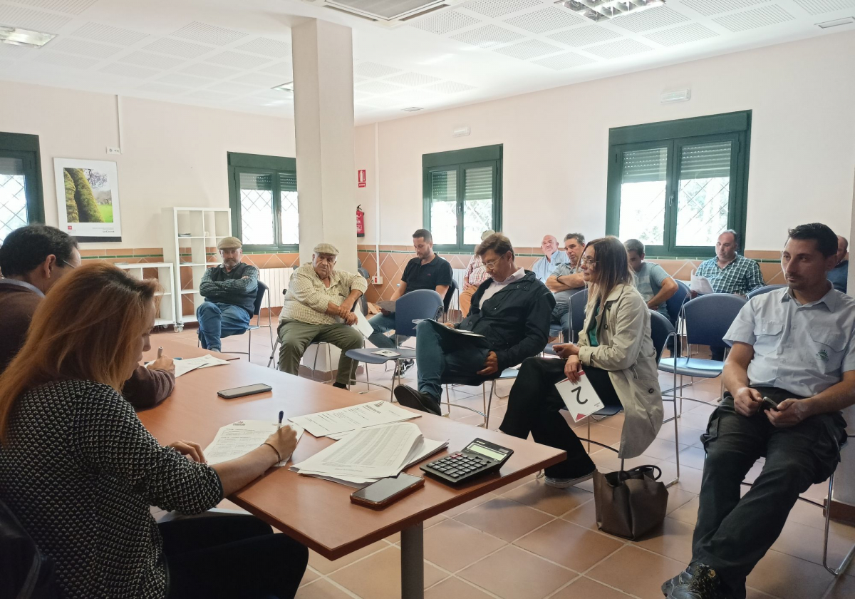 Diputación de Badajoz adjudica sus lotes en la subasta de ganado organizada en la finca La Cocosa