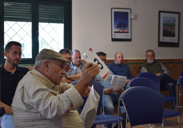 Imagen: Diputación de Badajoz adjudica sus lotes en la subasta de ganado organizada en la finca La Cocosa
