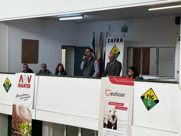 Imagen: La Diputación de Badajoz subasta lotes de ovinos en la Feria de Primavera de Zafra superando los 8.0...