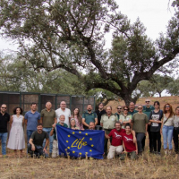 Imagen: Una treintena de milanos reales son liberados en Valencia del Mombuey gracias al proyecto LIFE EUROK...