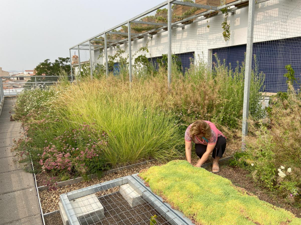 Imagen: La Diputación de Badajoz lleva a cabo muestreos de biodiversidad en el CEIP Gabriela Mistral de Sola...