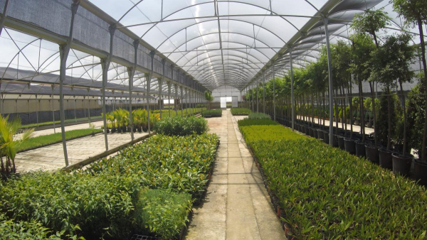 Imagen: El Vivero Provincial de la Diputación de Badajoz inicia su campaña anual de suministro de plantas pa...