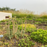 Imagen: El Observatorio de SbN de la Fundación CONAMA posiciona al proyecto LIFE myBUILDINGisGREEN como proy...
