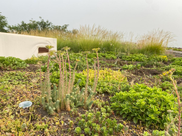 Imagen: El Observatorio de SbN de la Fundación CONAMA posiciona al proyecto LIFE myBUILDINGisGREEN como proy...