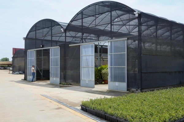 Imagen: Diputación de Badajoz lanza su campaña anual de suministro de plantas para la mejora de las zonas ve...