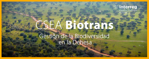 Imagen: CSEA Biotrans