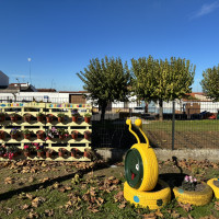 Imagen: Los huertos escolares de invierno florecen en Oliva de la Frontera y Zahínos gracias a los Presupues...